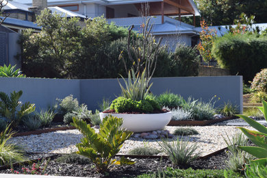 Modern garden in Perth.