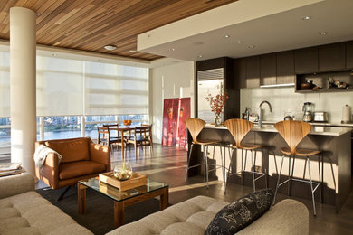 Living room - contemporary living room idea in Vancouver