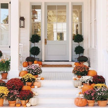 Front door colour