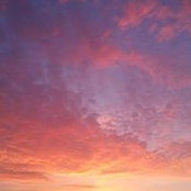 Vanessa Monnie's photo