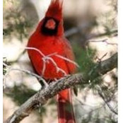 Maribeth Patterson's photo