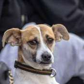 Simone Schönfeld's photo