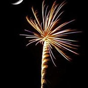 Vicki Bell's photo