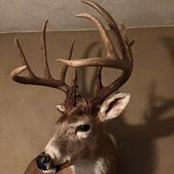 Scott Perkins's photo