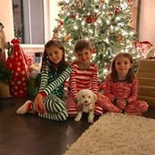 Morgan Brown's photo