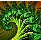 Foto von Zuzi Broccoli