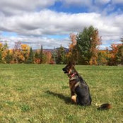 Scott Gibson's photo
