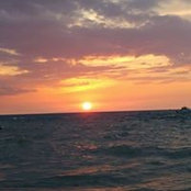 Holly Webster's photo