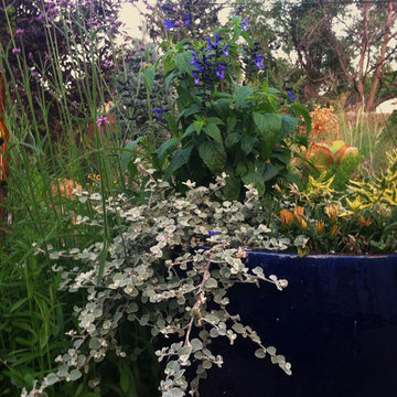 South Boulder Garden, Est. 2010