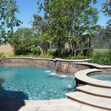 Freeform Pool with Baja Step and Raised Spa.