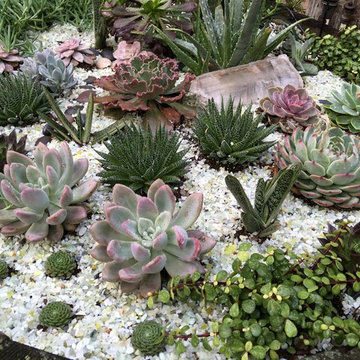 Pots