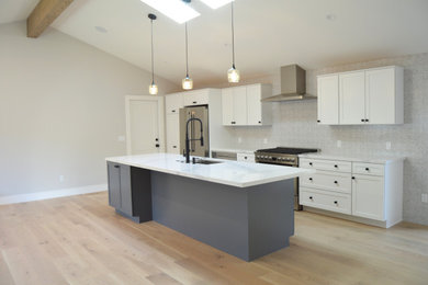 Example of a minimalist kitchen design in San Francisco