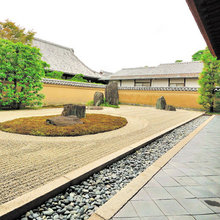 Rock Garden