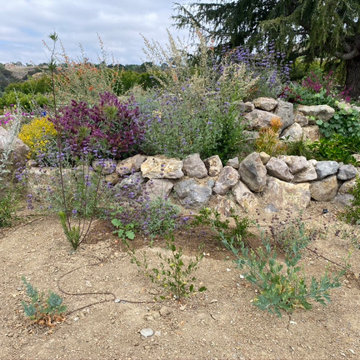 Mt. Sinai Simi Valley 70' Pondless Waterfall