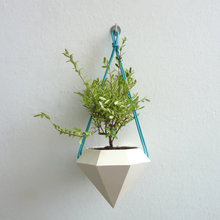 indoor pots