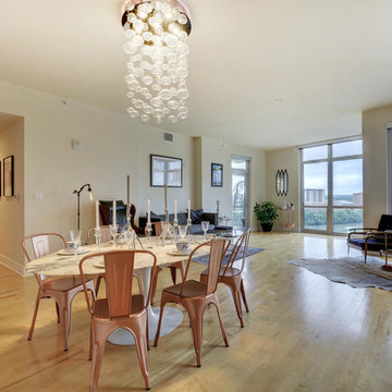 Transitional Living Room