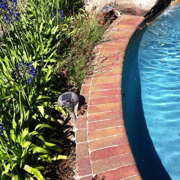 Pavers