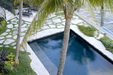 Inspiration for a tropical lap pool in Miami.