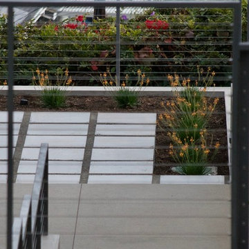 Santa Monica descending staircase to backyard Fire Pit