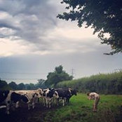 Foto von Ben Murray