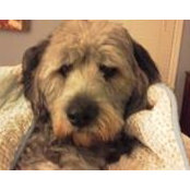 Gail Seifert's photo