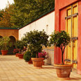 Profilbild von Outdoor Wave and Garden