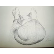 Anissa Gage's photo