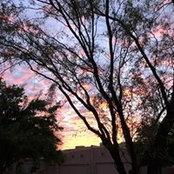 Linda Law's photo