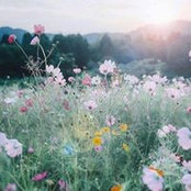 Melissa Macarthur's photo