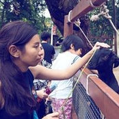 Iice Sangchai's photo