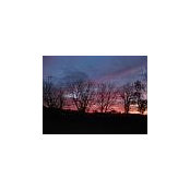 Jane Shade's photo
