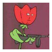 Tulip Sniper's photo