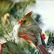 Diane Moskot Hardner's photo