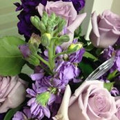 Dawn Hamrin-Strabavy's photo