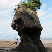 Sandra Cook's photo