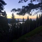 Brady Scheffler's photo