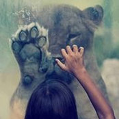 Natalia Chobanu's photo