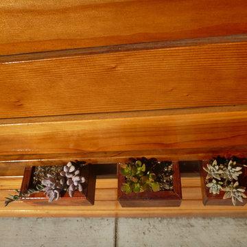 Long Beach Succulent Fence