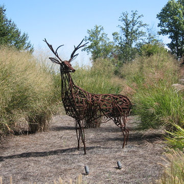 Henson Forest