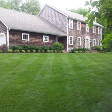 Landscape Ideas