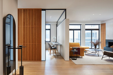 Mid-sized trendy light wood floor and brown floor foyer photo in Chicago with white walls