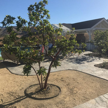 Edna Valley Backyard Renovation and Swimming Pool Addition