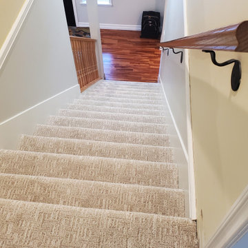 Carpet Gallery
