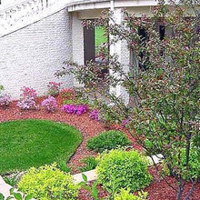 landscaping ideas
