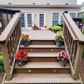 Deck Restoration