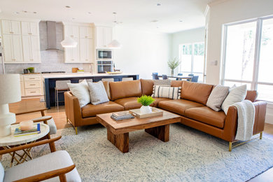 Trendy home design photo in Dallas