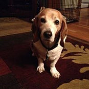Stacy Ricco's photo
