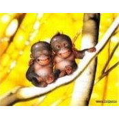 Jen Dacre's photo