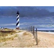 Joan Irby's photo