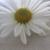 Autum Hall's photo